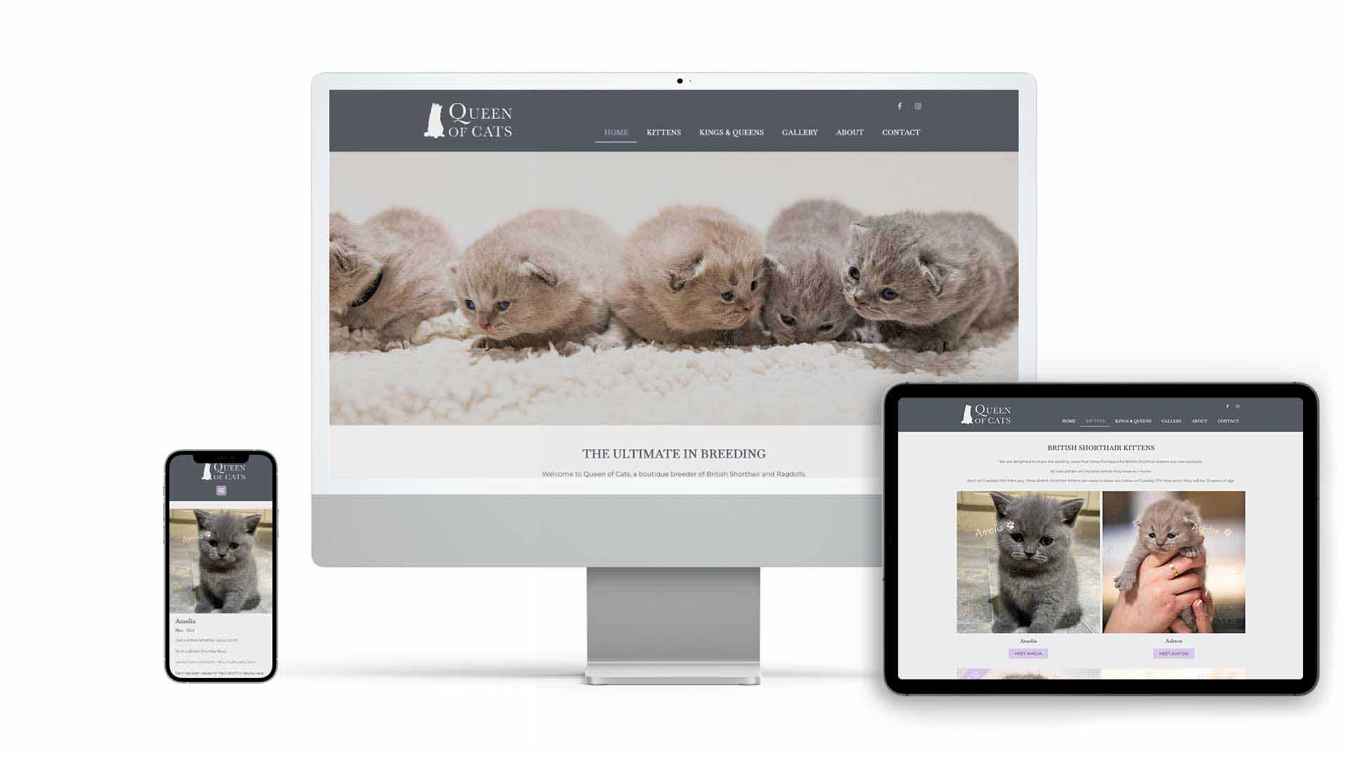Queen of Cats Website Design